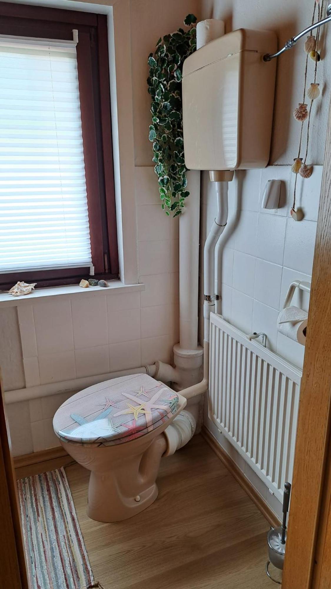 Ferienwohnung Friedrichsruh เบราน์ลาเกอ ภายนอก รูปภาพ