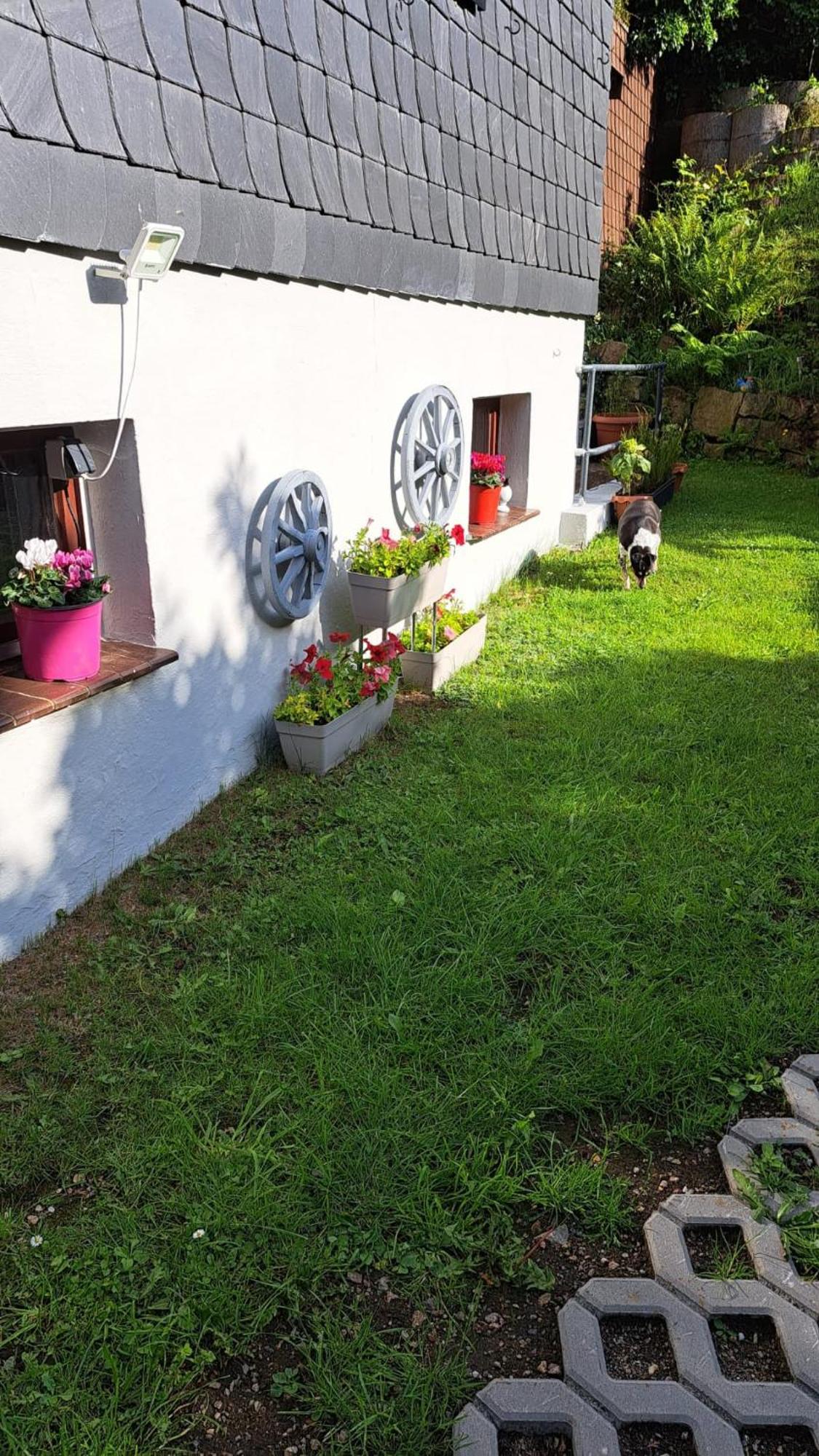 Ferienwohnung Friedrichsruh เบราน์ลาเกอ ภายนอก รูปภาพ